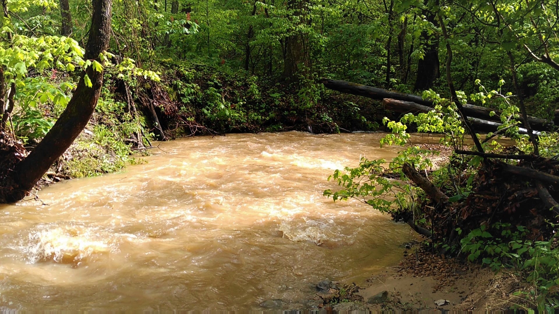 A view of the creek near the visitor center after a heavy spring rain 